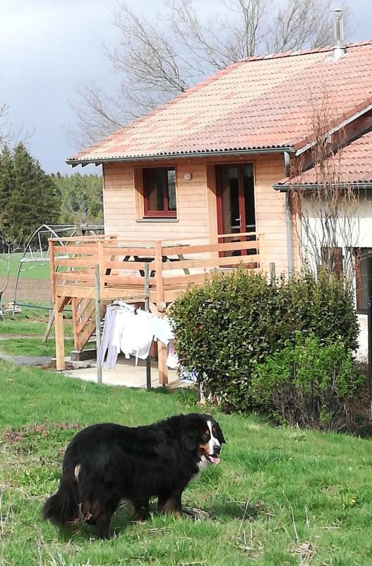 Gîte la ferme de Baffour La Chaise-Dieu Extérieur photo